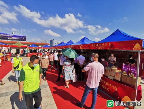 龍湖區農特產嘉年華 玉米肉丸果酒飄香，體驗式拓展樂趣無窮